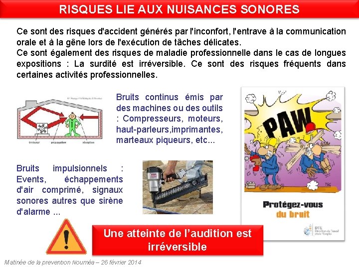 RISQUES LIE AUX NUISANCES SONORES Ce sont des risques d'accident générés par l'inconfort, l'entrave RISQUES LIE AUX NUISANCES SONORES Ce sont des risques d'accident générés par l'inconfort, l'entrave