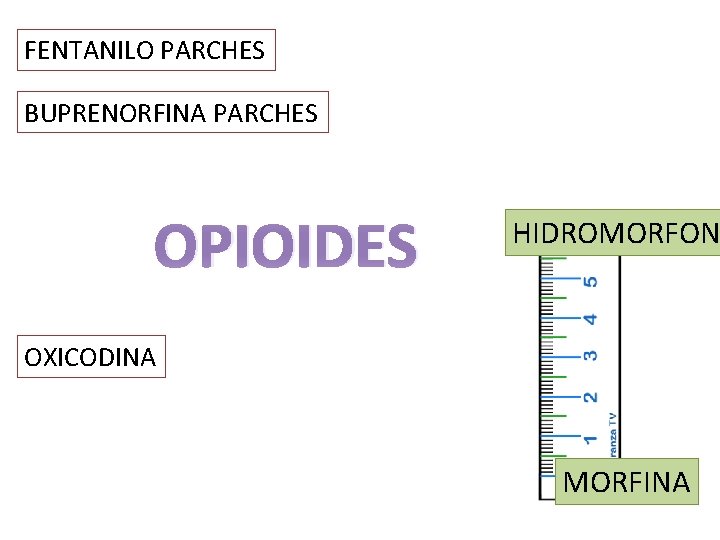 FENTANILO PARCHES BUPRENORFINA PARCHES OPIOIDES HIDROMORFON OXICODINA MORFINA 
