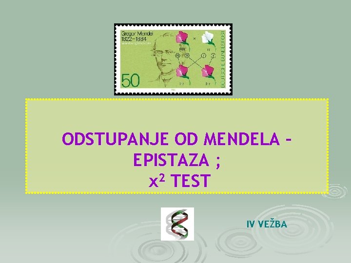 ODSTUPANJE OD MENDELA – EPISTAZA ; χ2 TEST IV VEŽBA 