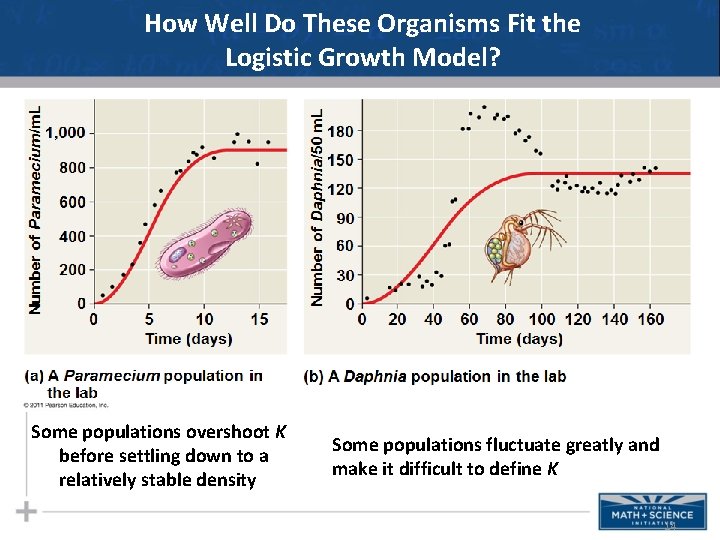 How Well Do These Organisms Fit the Logistic Growth Model? Some populations overshoot K