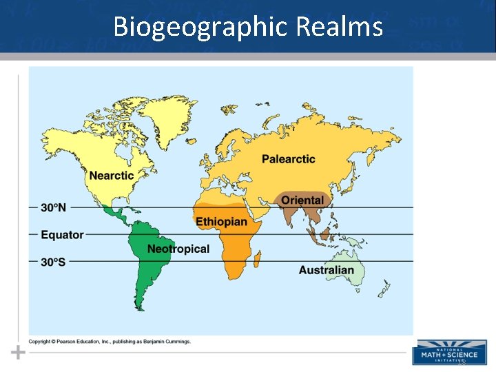 Biogeographic Realms 18 