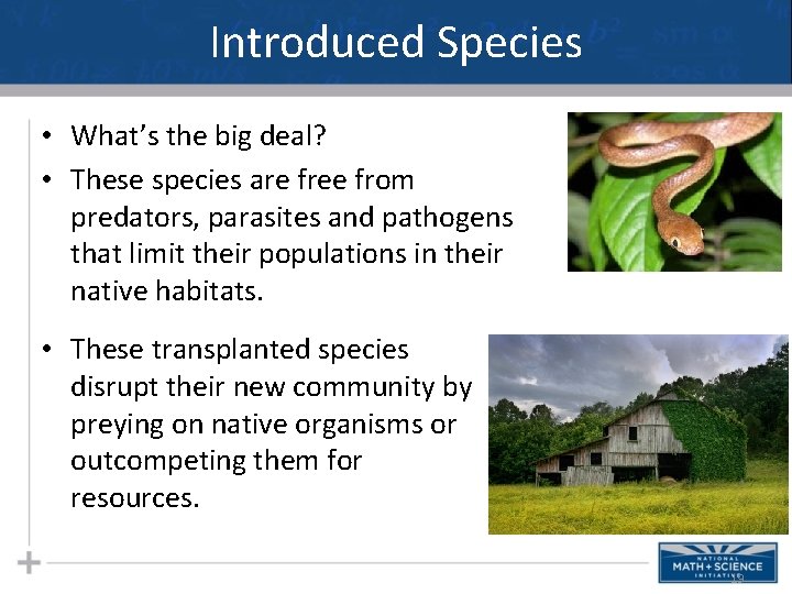 Introduced Species • What’s the big deal? • These species are free from predators,