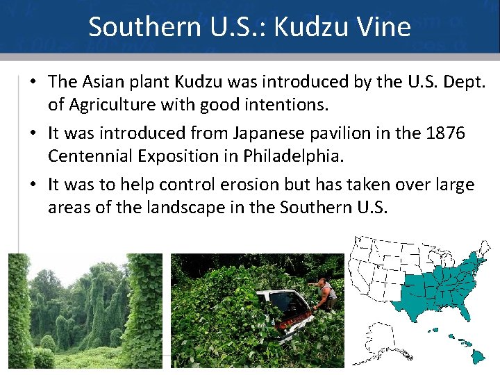 Southern U. S. : Kudzu Vine • The Asian plant Kudzu was introduced by