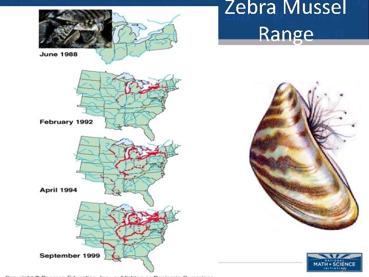 Zebra Mussel Range 27 