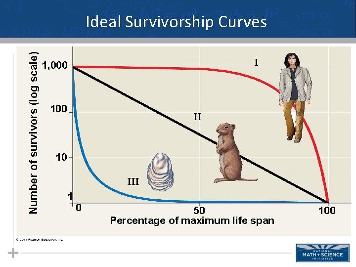 Number of survivors (log scale) Ideal Survivorship Curves I 1, 000 100 II 10