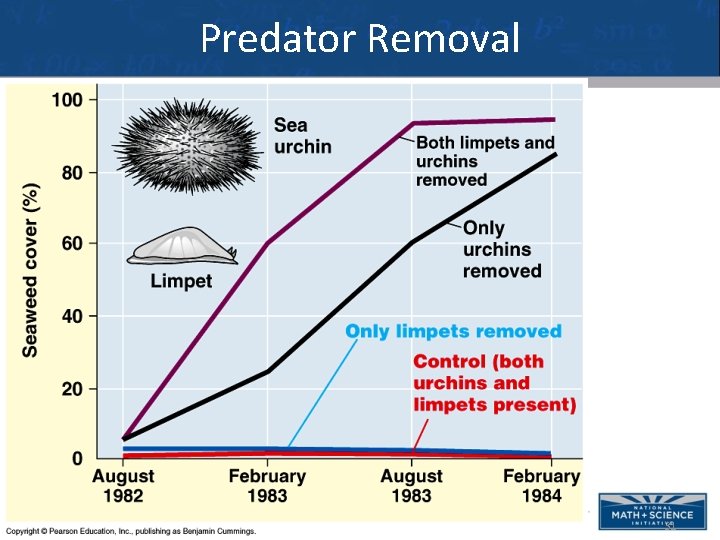 Predator Removal 31 