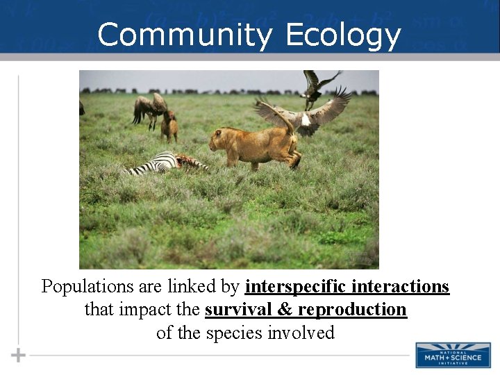 Community Ecology Populations are linked by interspecific interactions that impact the survival & reproduction