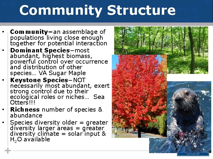 Community Structure • Community−an assemblage of populations living close enough together for potential interaction