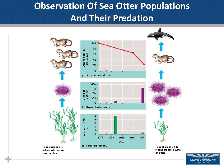 Observation Of Sea Otter Populations And Their Predation Otter number (% max. count) 100