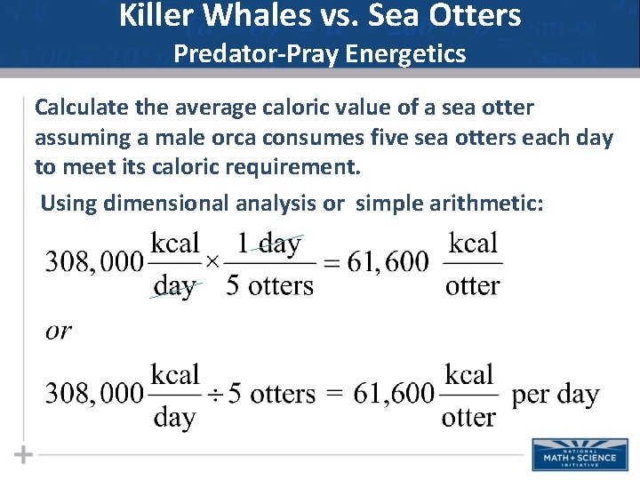 Killer Whales vs. Sea Otters Predator-Pray Energetics Calculate the average caloric value of a