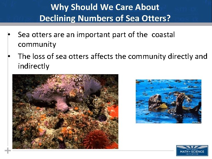 Why Should We Care About Declining Numbers of Sea Otters? • Sea otters are