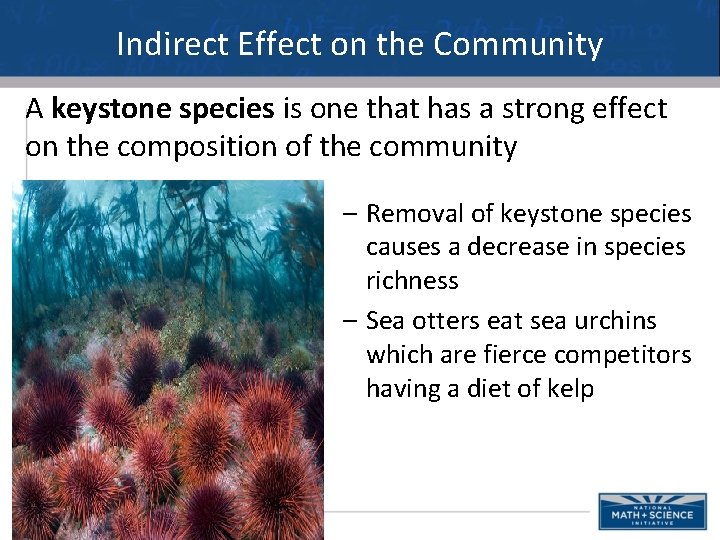 Indirect Effect on the Community A keystone species is one that has a strong
