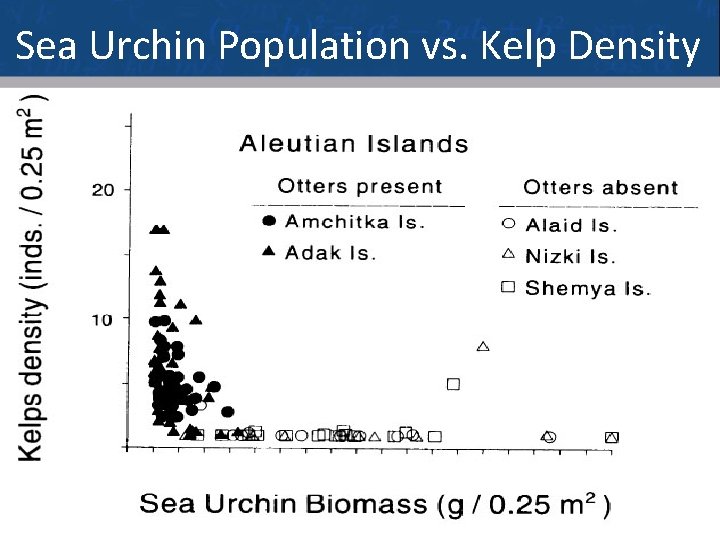 Sea Urchin Population vs. Kelp Density 48 