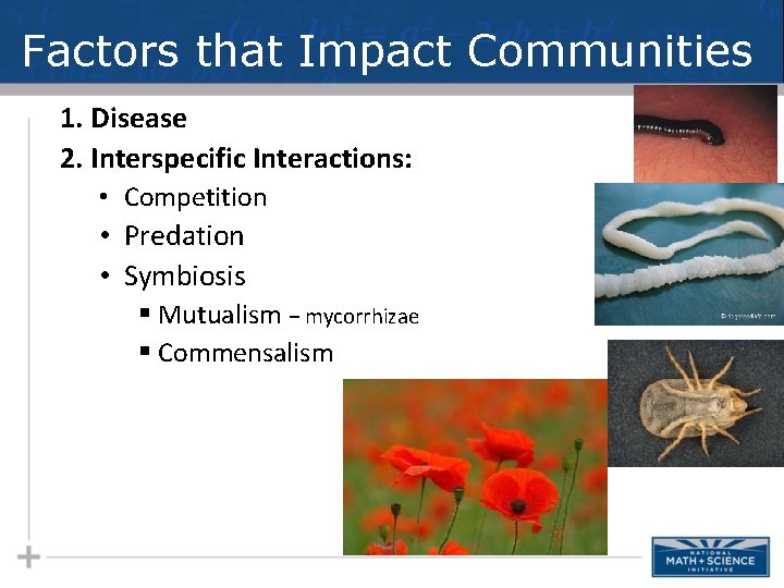 Factors that Impact Communities 1. Disease 2. Interspecific Interactions: • Competition • Predation •