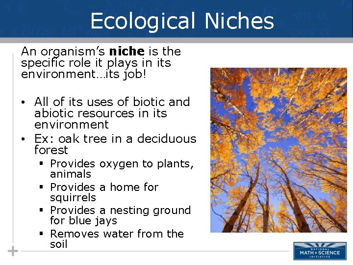 Ecological Niches An organism’s niche is the specific role it plays in its environment…its