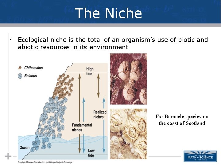 The Niche • Ecological niche is the total of an organism’s use of biotic