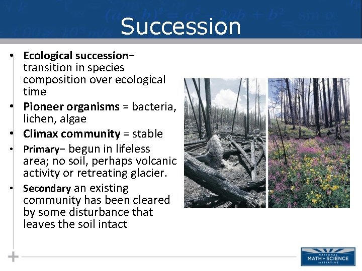 Succession • Ecological succession− transition in species composition over ecological time • Pioneer organisms