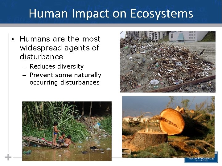 Human Impact on Ecosystems • Humans are the most widespread agents of disturbance –
