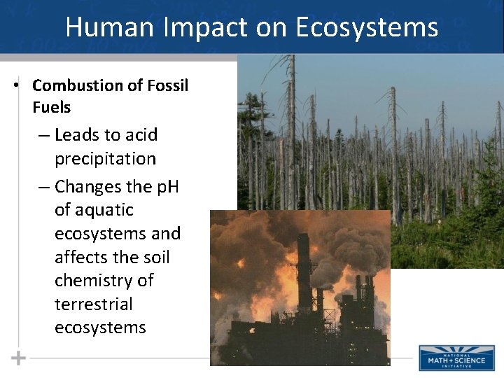 Human Impact on Ecosystems • Combustion of Fossil Fuels – Leads to acid precipitation