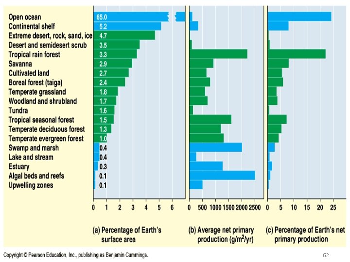 Primary Production 62 