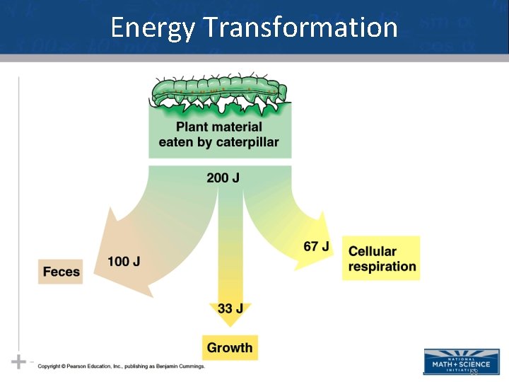 Energy Transformation 68 