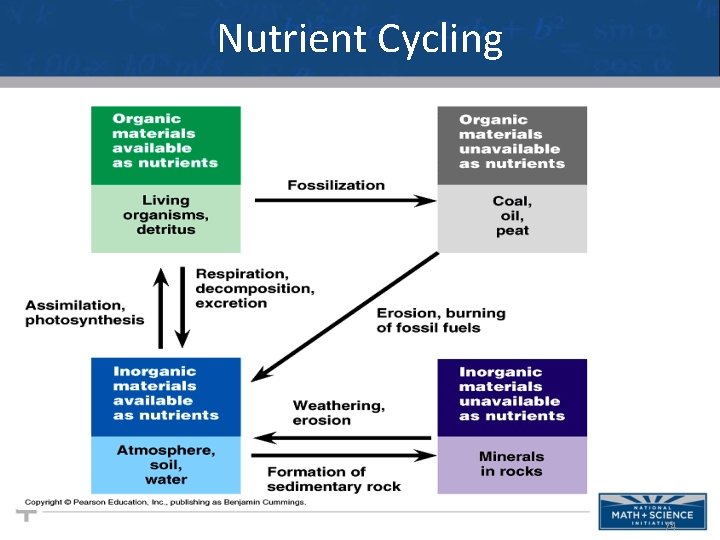 Nutrient Cycling 74 
