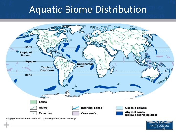 Aquatic Biome Distribution 75 
