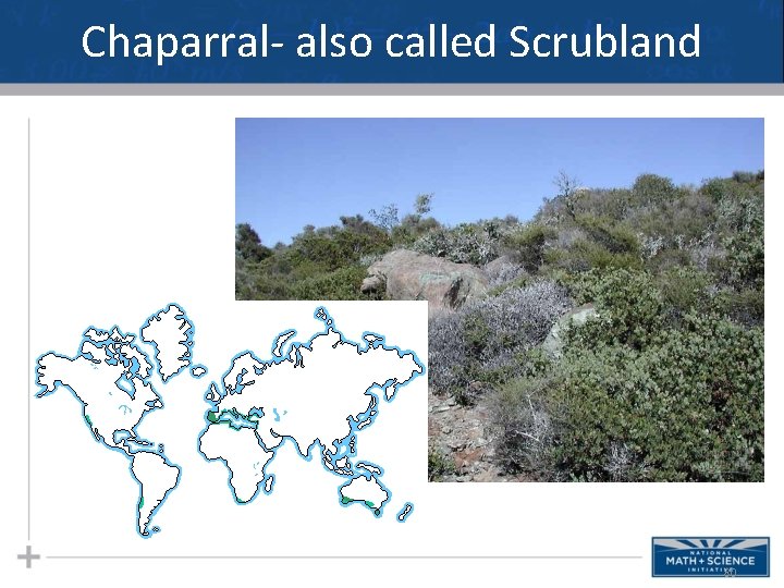 Chaparral- also called Scrubland 80 