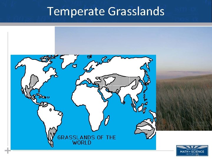 Temperate Grasslands 81 