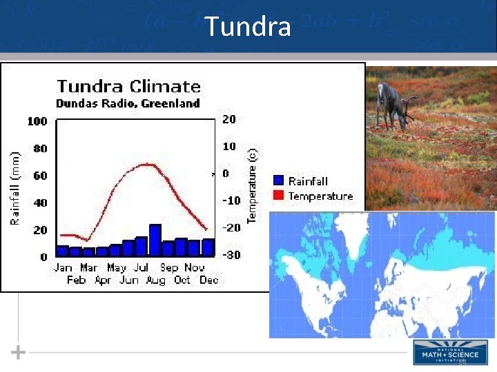 Tundra 84 