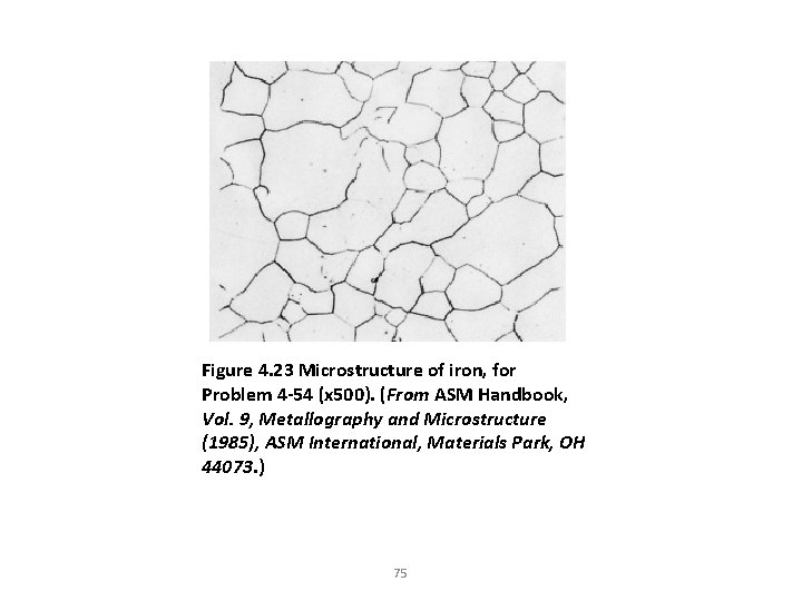 Figure 4. 23 Microstructure of iron, for Problem 4 -54 (x 500). (From ASM Figure 4. 23 Microstructure of iron, for Problem 4 -54 (x 500). (From ASM
