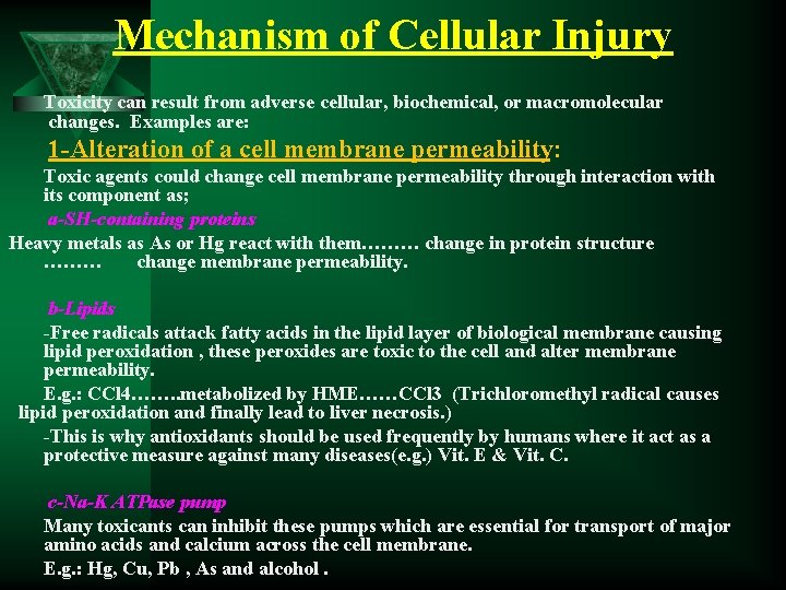 Mechanism of Cellular Injury Toxicity can result from adverse cellular, biochemical, or macromolecular changes.