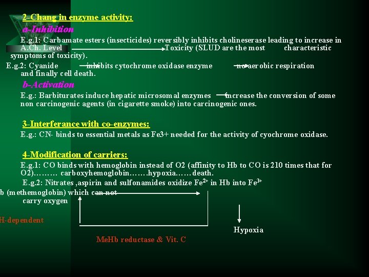 2 -Chang in enzyme activity: a-Inhibition E. g. 1: Carbamate esters (insecticides) reversibly inhibits