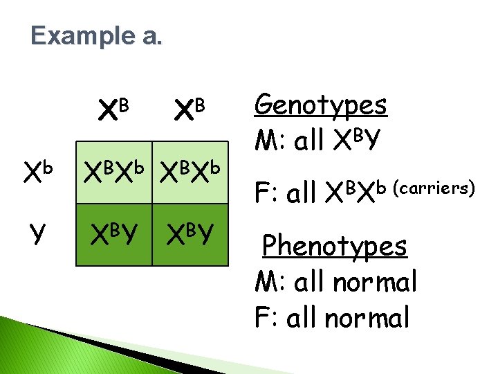 Example a. XB XB Xb X BX b Y X BY Genotypes M: all