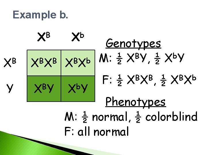 Example b. XB XB Y Xb X BX B X BX b X BY