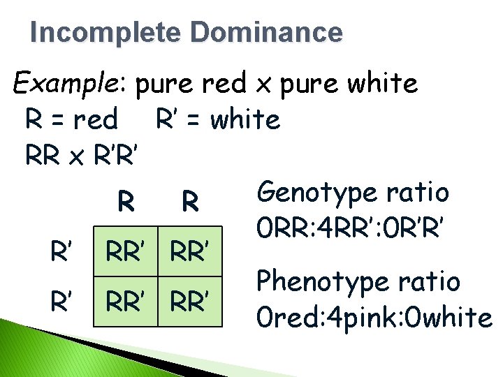 Incomplete Dominance Example: pure red x pure white R = red R’ = white