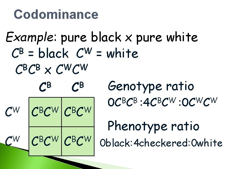Codominance Example: pure black x pure white CB = black CW = white C