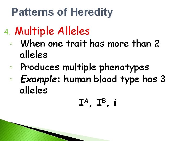 Patterns of Heredity 4. Multiple Alleles ◦ When one trait has more than 2