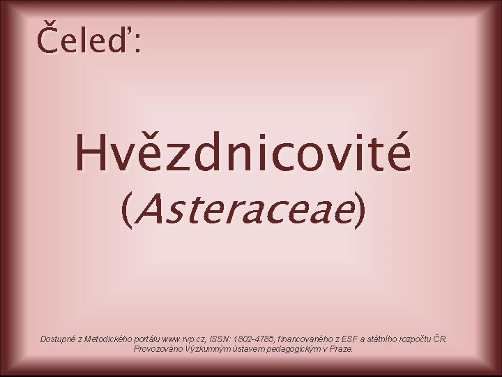 Čeleď: Hvězdnicovité (Asteraceae) Dostupné z Metodického portálu www. rvp. cz, ISSN: 1802 -4785, financovaného