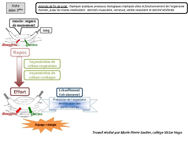 Fiche bilan 5ème Attendu de fin de cycle : Expliquer quelques processus biologiques impliqués