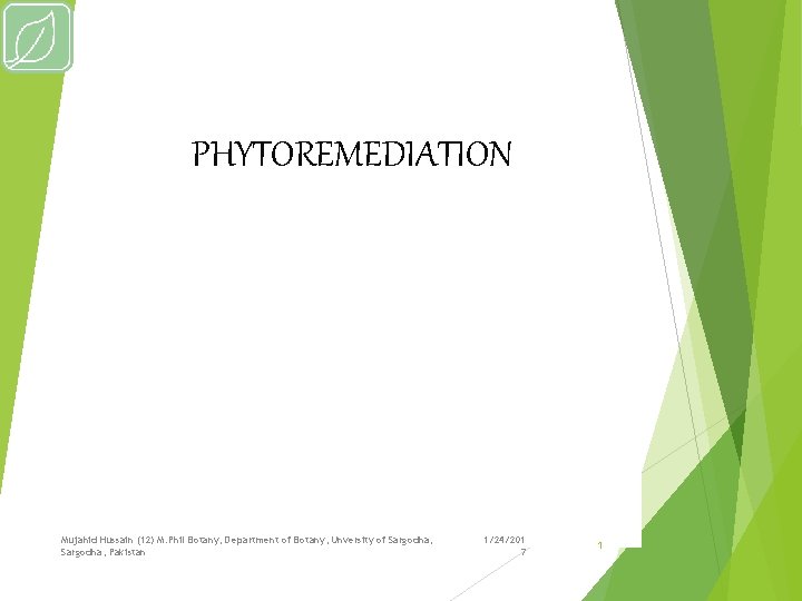 PHYTOREMEDIATION Mujahid Hussain (12) M. Phil Botany, Department of Botany, Unversity of Sargodha, Pakistan