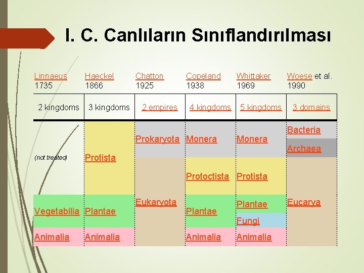 I. C. Canlıların Sınıflandırılması Linnaeus 1735 2 kingdoms Haeckel 1866 3 kingdoms Chatton 1925