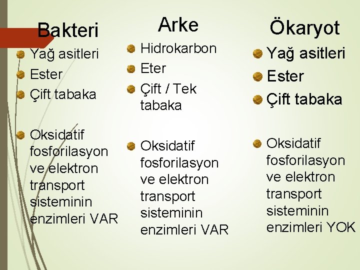 Bakteri Yağ asitleri Ester Çift tabaka Oksidatif fosforilasyon ve elektron transport sisteminin enzimleri VAR