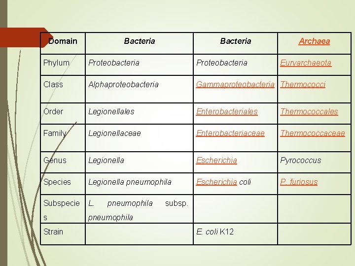 Domain Bacteria Archaea Phylum Proteobacteria Class Alphaproteobacteria Gammaproteobacteria Thermococci Order Legionellales Enterobacteriales Thermococcales Family