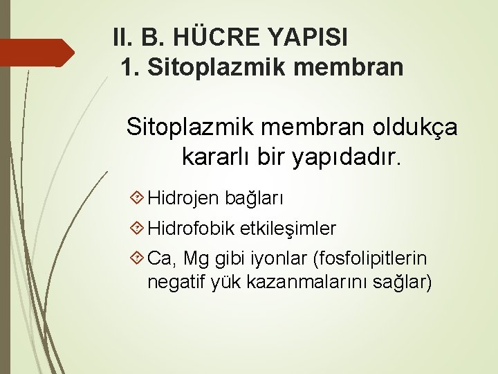 II. B. HÜCRE YAPISI 1. Sitoplazmik membran oldukça kararlı bir yapıdadır. Hidrojen bağları Hidrofobik