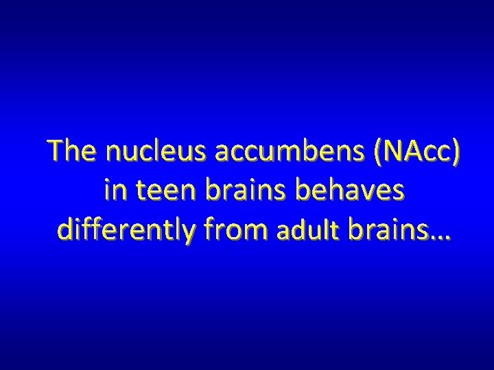 The nucleus accumbens (NAcc) in teen brains behaves differently from adult brains… The nucleus accumbens (NAcc) in teen brains behaves differently from adult brains…