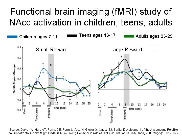 Functional brain imaging (f. MRI) study of NAcc activation in children, teens, adults Children Functional brain imaging (f. MRI) study of NAcc activation in children, teens, adults Children