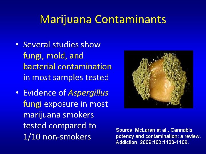 Marijuana Contaminants • Several studies show fungi, mold, and bacterial contamination in most samples Marijuana Contaminants • Several studies show fungi, mold, and bacterial contamination in most samples