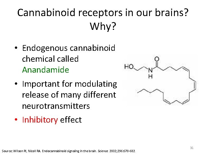 Cannabinoid receptors in our brains? Why? • Endogenous cannabinoid chemical called Anandamide • Important Cannabinoid receptors in our brains? Why? • Endogenous cannabinoid chemical called Anandamide • Important