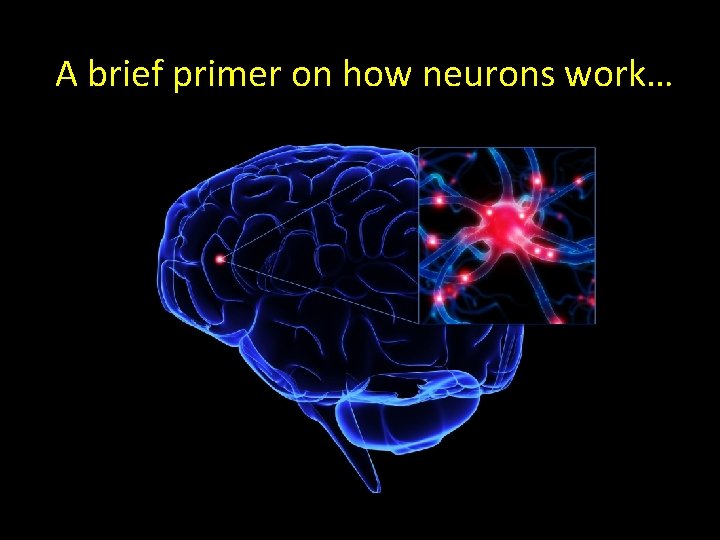 A brief primer on how neurons work… A brief primer on how neurons work…